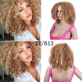 Synthetic Afro Curly Wig African Wigs For Black Women (Option: 27613)