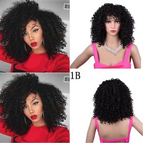 Synthetic Afro Curly Wig African Wigs For Black Women (Option: 1B)